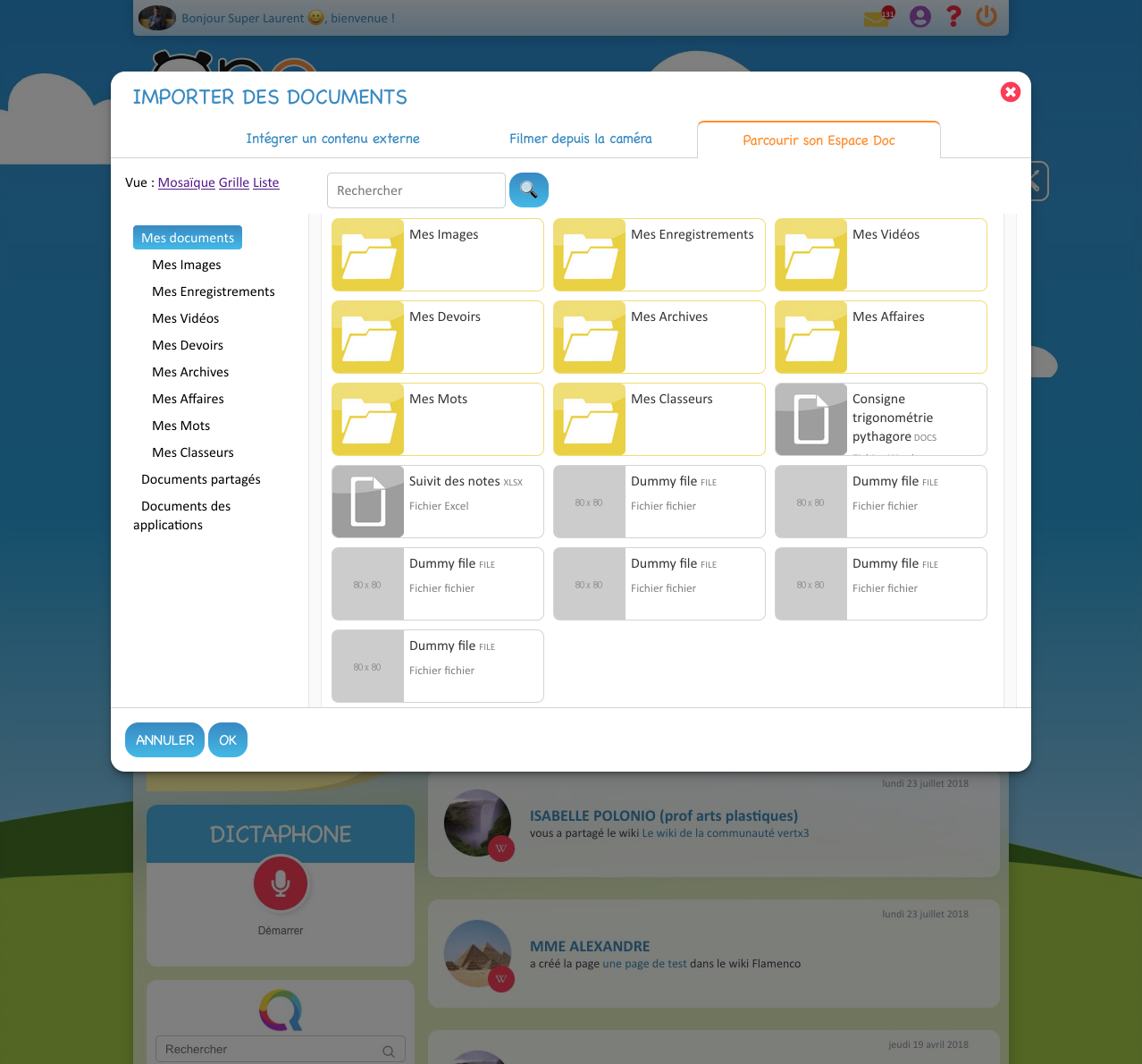 Exemple de lightbox avec beaucoup de hauteur disponible